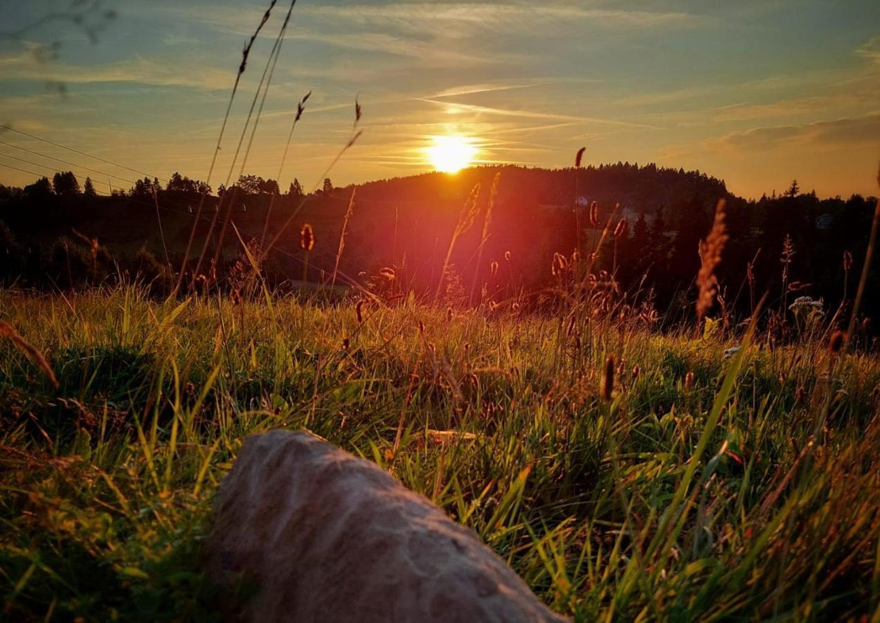 Zagroda Wataha 782 305 923 Polańczyk Buitenkant foto